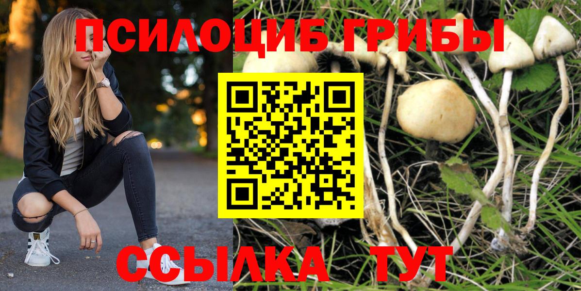 Псилоцибиновые грибы прущие грибы  Галлюциногенные грибы Cubensis  Вход с VPN  Новый Уренгой 